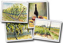 Vineyard cards